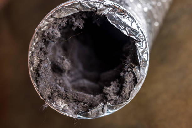 Best HVAC System Cleaning  in Pebble Creek, FL